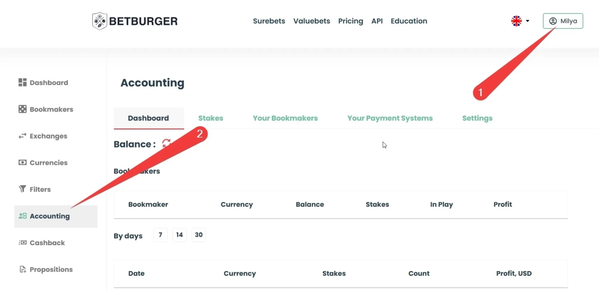 Accounting dashboard showing profit tracking across bookmakers