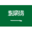 Saudi Arabia logo